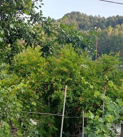 Apartament Teuta Përmet Zewnętrze zdjęcie