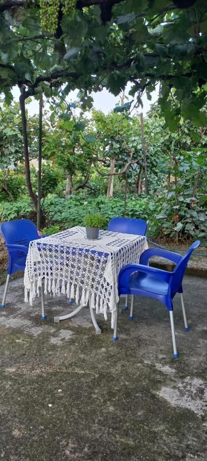 Apartament Teuta Përmet Zewnętrze zdjęcie
