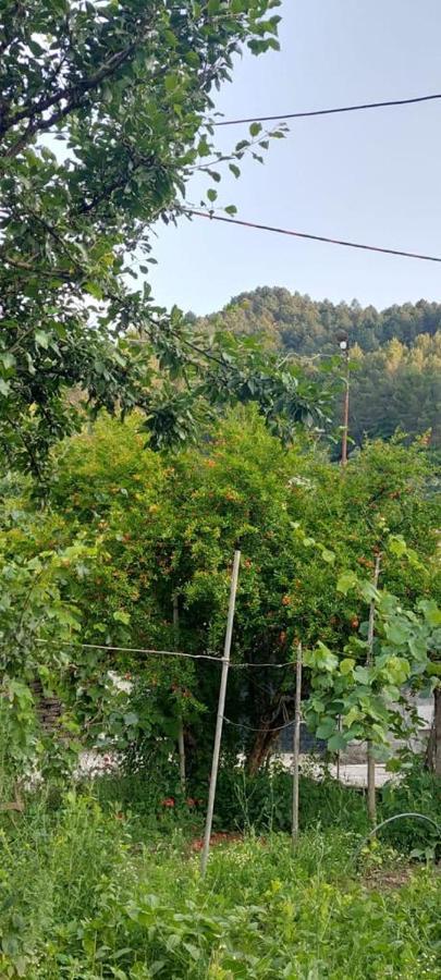 Apartament Teuta Përmet Zewnętrze zdjęcie